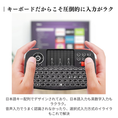 エアリア 【 Twin Wireless Board C 】2つのワイヤレス接続方法、Type-C変換付属のミニマルチメディアキーボード 超小型 ミニワイヤレスキーボード Bluetooth 2.4GHz通信 ダブルワイヤレス PC対応 Android対応 iPhone対応 日本語キー入力対応 SD-KB24GBT(C)
