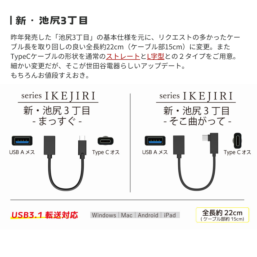 エアリア 新・池尻3丁目 世田谷電器シリーズ TypeC USB 3.1 ホスト