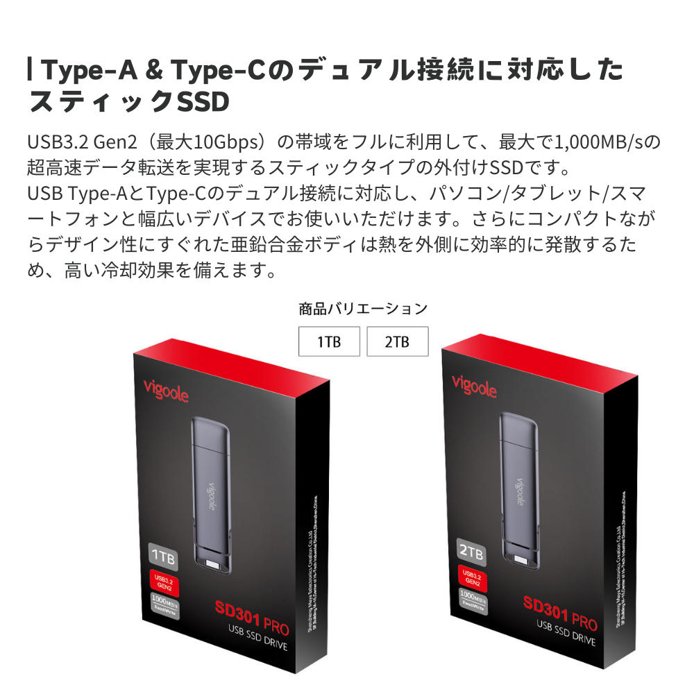 Vigoole ビグール USB SSD DRIVE 1TB 2TB 大容量 TypeC USB どちらでも