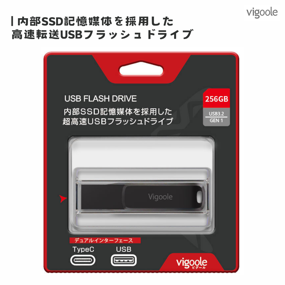 Vigoole ビグール 256GB 高速USBフラッシュドライブ 大容量 TypeC USB