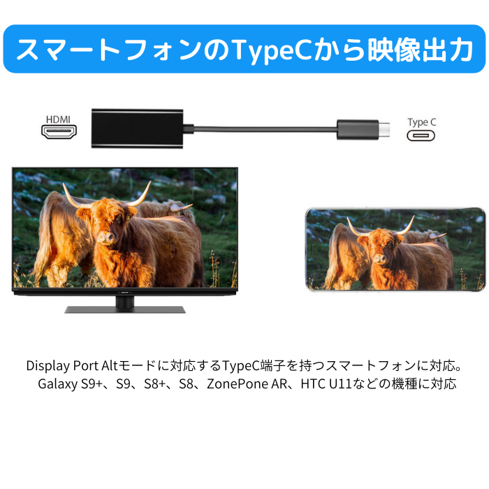 エアリア TypeC - HDMI 映像出力アダプター iPhone17 16 15シリーズ対応 スマホ ノートパソコン フルHD Displayport Altnate Mode（オルタネートモード） SD-DPAH1(B)