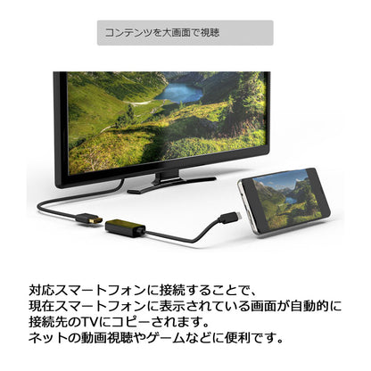 エアリア TypeC - HDMI 映像出力アダプター 60Hz対応モデル iPhone17 対応 16 15スマホ PC Mac ノートパソコン 4K フルHD テレワーク ゲーム 会議 Displayport Altnate Mode（オルタネートモード） SD-DPAH6(B)